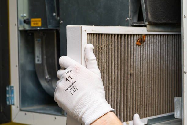 Best Affordable Duct Cleaning Services  in Afton, WY